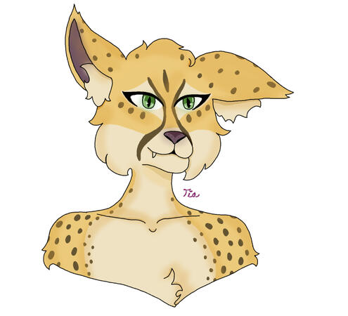 Furry Half Body Shaded
